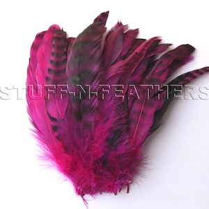 May include: A bunch of pink and black feathers with a black and white striped pattern. The feathers are arranged in a fan shape.