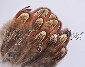 Natural feathers real Ringneck Pheasant ALMONDS, 12 loose brown feathers for millinery, jewelry, fishing, crafts, 3-4 in long / F145-3L