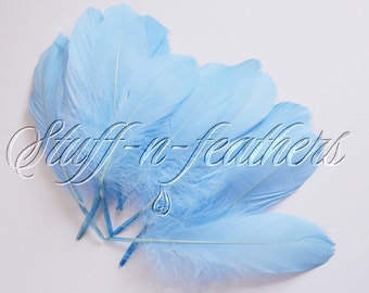 Goose feathers Sky Blue / Baby BLUE goose pallets feathers, light blue feathers, baby shower, nursery decor, baby boy, something blue / F195