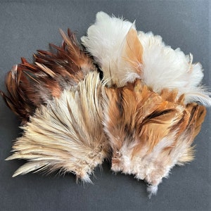 Natural rooster feathers assortment, bulk feathers, brown beige ginger mix real feathers for crafts, millinery, jewelry 3-4 in long / FS35 image 9