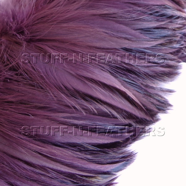 Rooster hackle feathers - Amethyst purple feathers, real feathers, strung feathers, fly fishing, millinery craft feathers 4-6 in long / F88