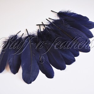 May include: A bunch of dark blue feathers, with the tips of the feathers slightly lighter in color. The feathers are arranged in a semi-circle shape.