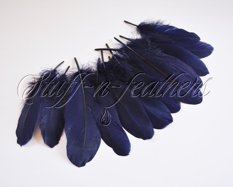 May include: A bunch of dark blue feathers, with the tips of the feathers slightly lighter in color. The feathers are arranged in a semi-circle shape.
