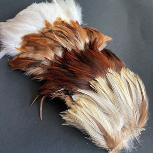 Natural rooster feathers assortment, bulk feathers, brown beige ginger mix real feathers for crafts, millinery, jewelry 3-4 in long / FS35 image 1