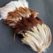 see more listings in the Rooster feathers section