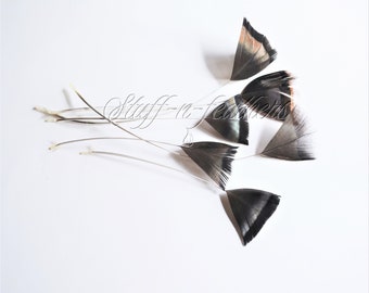 Turkey feathers stripped, natural bronze brown black iridescent real feather for millinery, crafts, Thanksgiving table, 4-7 in / F220-4st