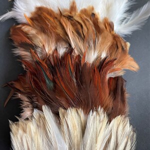 Natural rooster feathers assortment, bulk feathers, brown beige ginger mix real feathers for crafts, millinery, jewelry 3-4 in long / FS35 image 4