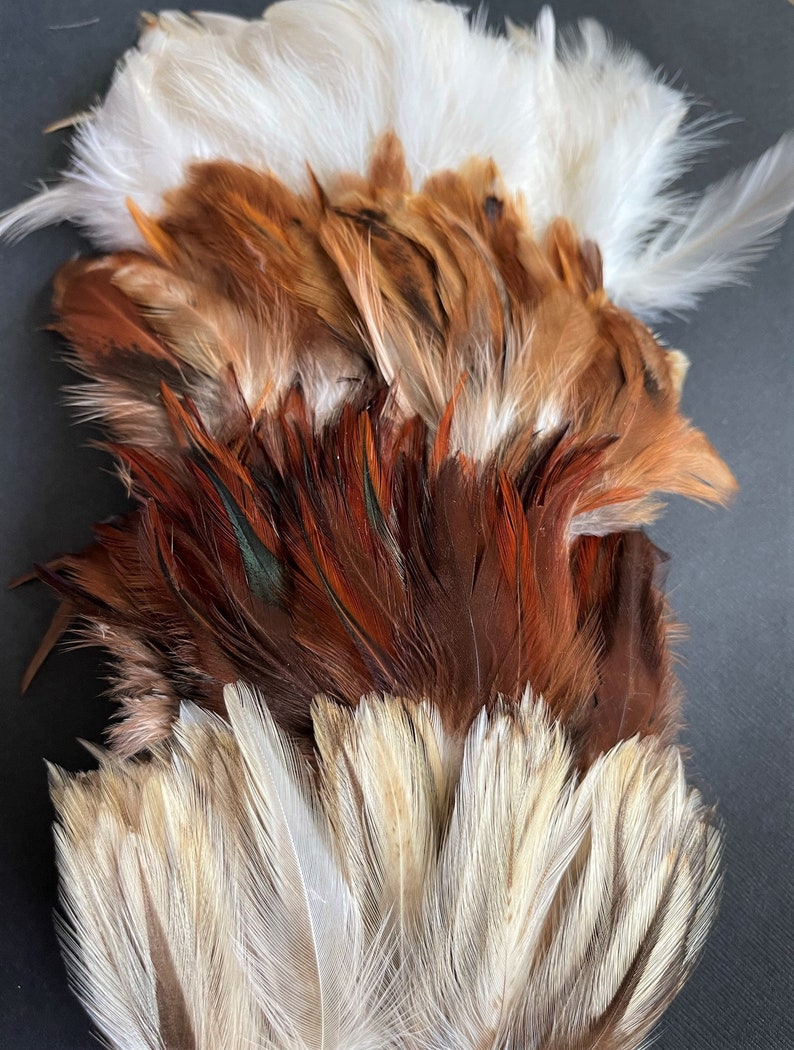 Natural rooster feathers assortment, bulk feathers, brown beige ginger mix real feathers for crafts, millinery, jewelry 3-4 in long / FS35 image 4