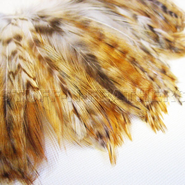 SALE Natural Rooster Feathers GINGER VARIANT hackle, real feathers for jewelry, hair extensions, millinery, crafts, 4 in (10cm) long / F13-4