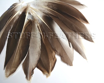 Mallard duck feathers, natural brown gray feathers, loose feathers for millinery, crafts, real feather / 4-6” (10-15 cm) long / F164-4