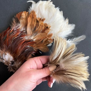 Natural rooster feathers assortment, bulk feathers, brown beige ginger mix real feathers for crafts, millinery, jewelry 3-4 in long / FS35 image 8