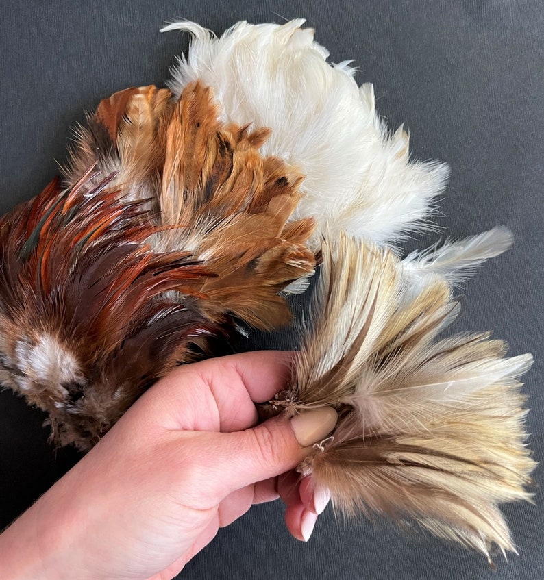 Natural rooster feathers assortment, bulk feathers, brown beige ginger mix real feathers for crafts, millinery, jewelry 3-4 in long / FS35 image 8