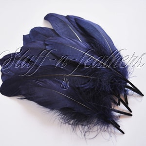 May include: A bunch of dark blue feathers with a white stripe down the center. The feathers are arranged in a fan shape and have a soft, fluffy texture.