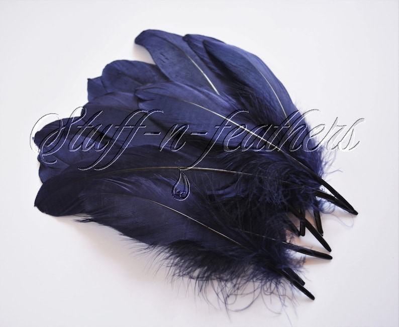 May include: A bunch of dark blue feathers with a white stripe down the center. The feathers are arranged in a fan shape and have a soft, fluffy texture.