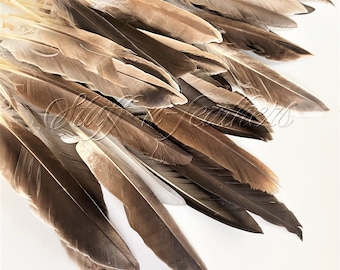 Wholesale / bulk feathers - Duck Pointers wing feathers natural brown gray loose feathers for crafts millinery, 5-8” long / FB222-5