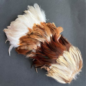Natural rooster feathers assortment, bulk feathers, brown beige ginger mix real feathers for crafts, millinery, jewelry 3-4 in long / FS35 image 3