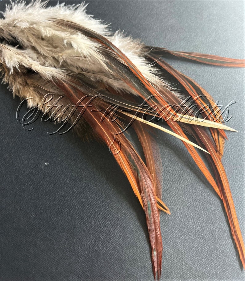 Natural Rooster SADDLE feathers Loose Long FURNACE brown image 2