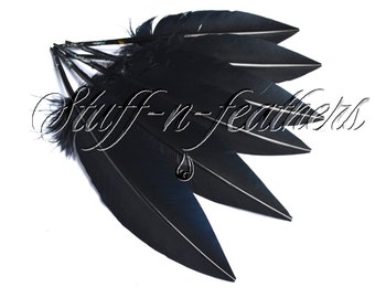 Black turkey wing feathers, real feathers  long trimmed loose for millinery, wedding, table setting Halloween / 10-12 in long, 6 pcs / F178