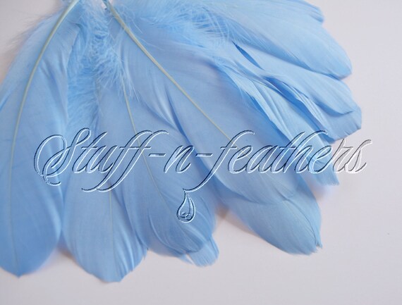 Light Blue Feathers