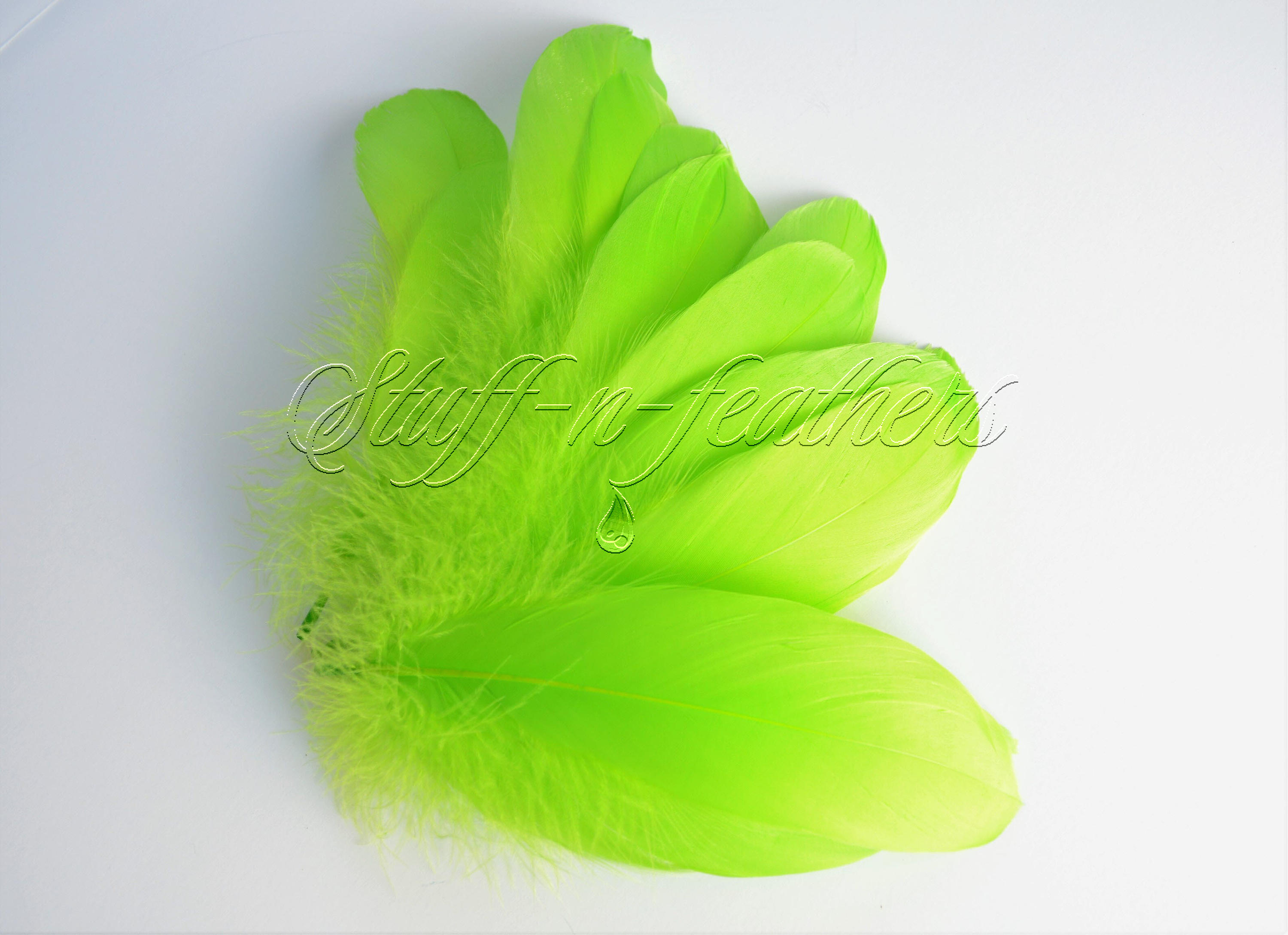 Goose Satinette Feathers, 4-6 Green Grass Mix Loose Goose Feathers,  Assorted Green Feathers, Small Feathers, Art and Craft Supplies ZUCKER® 