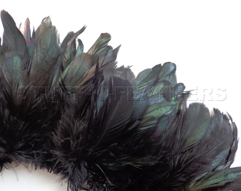 Wholesale bulk feathers  IRIDESCENT Black rooster coque image 1