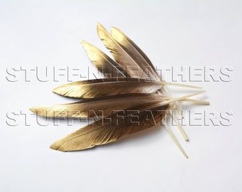 Natural brown duck feathers with GOLD tip loose, "gold dust" real gold dipped painted feathers, gold feathers 6-8 in, 6 pcs / F172-6GD