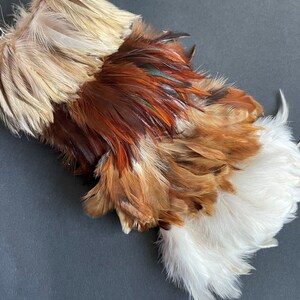 Natural rooster feathers assortment, bulk feathers, brown beige ginger mix real feathers for crafts, millinery, jewelry 3-4 in long / FS35 image 5