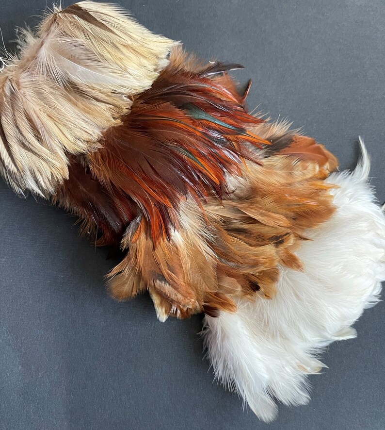 Natural rooster feathers assortment, bulk feathers, brown beige ginger mix real feathers for crafts, millinery, jewelry 3-4 in long / FS35 image 5