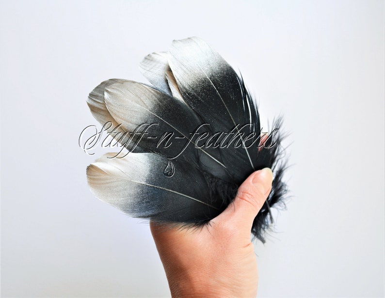 Silver Dipped Black Feathers Goose Feathers With Silver Tips Etsy