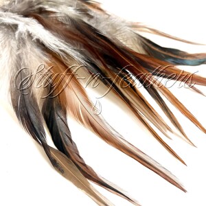 Natural Rooster SADDLE feathers Loose Long FURNACE brown image 4