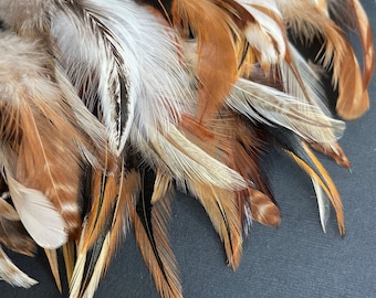 Brown Beige Loose Feathers Natural Rooster Mixed real feathers, earthy fall colors feathers for millinery, crafts - 50 pcs, 2.5-4 in / FS34
