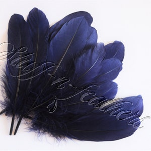 May include: A bunch of dark blue feathers with a soft, fluffy texture.
