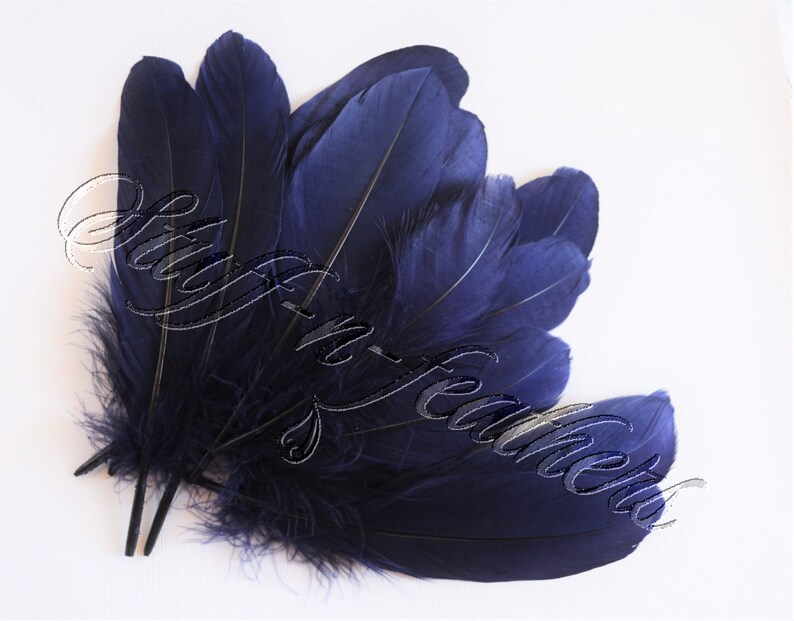 May include: A bunch of dark blue feathers with a soft, fluffy texture.