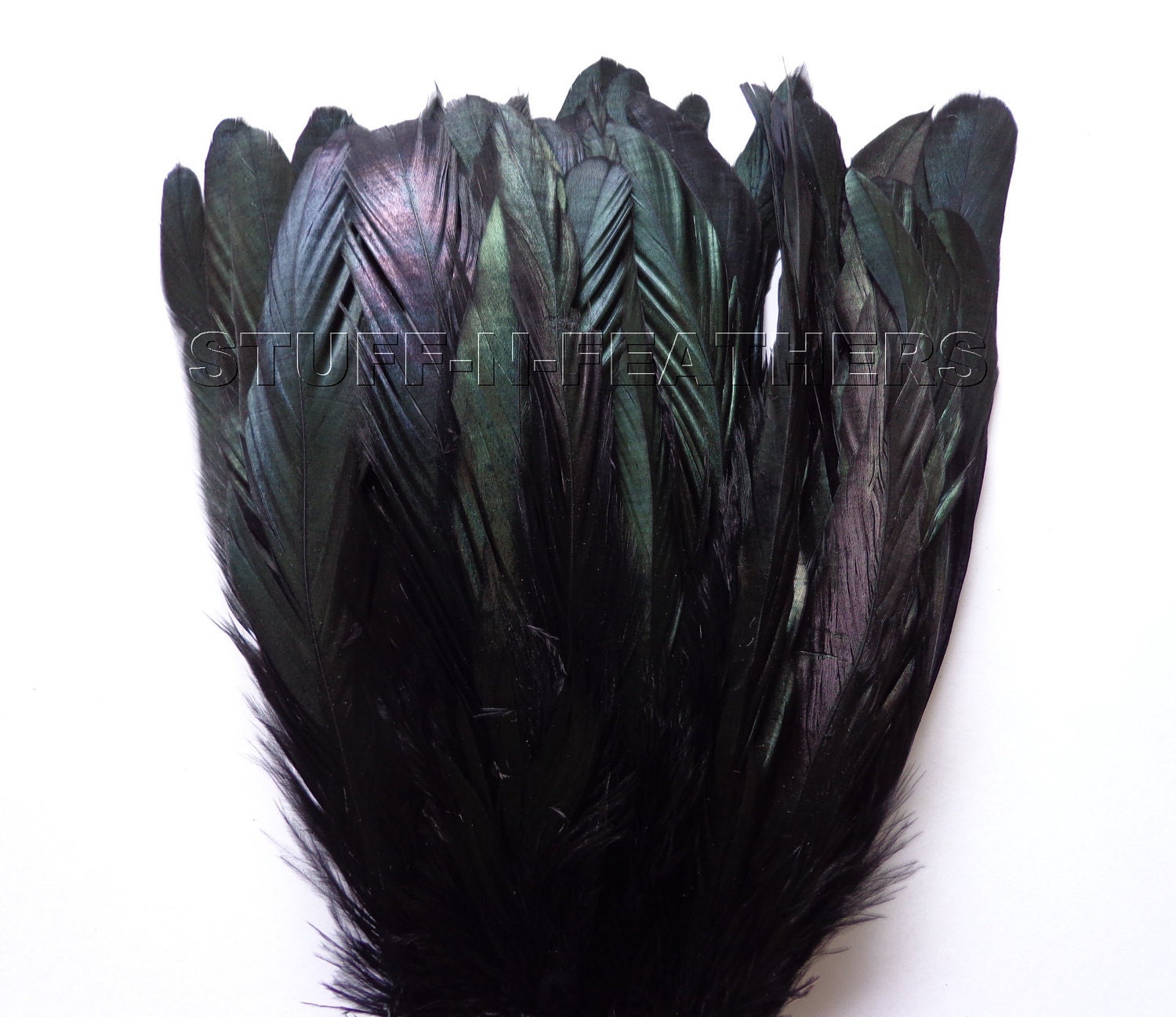 Strung Black Feathers - Small Short Rooster tail feathers, coque feathers