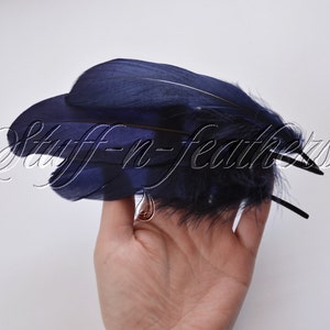 May include: A cluster of dark blue feathers with a black wire stem. The feathers are arranged in a fan shape and are held in a hand.