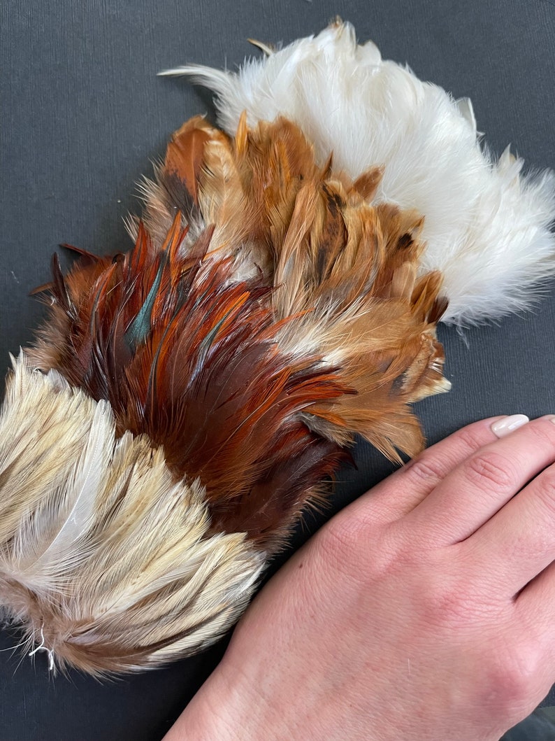 Natural rooster feathers assortment, bulk feathers, brown beige ginger mix real feathers for crafts, millinery, jewelry 3-4 in long / FS35 image 7