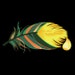 Owner of <a href='https://www.etsy.com/shop/Stuffnfeathers?ref=l2-about-shopname&from_page=listing' class='wt-text-link'>Stuffnfeathers</a>