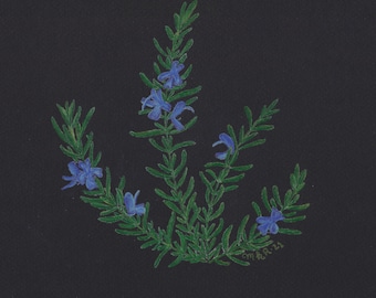 Rosemary Art Print | Botanical Herbal Art | Feng Shui-Inspired Home Decor | Botanical Illustration | Plant Wall Art | Mindfulness Art