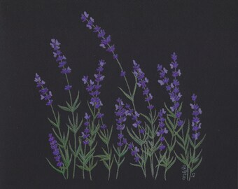 Lavender botanical art print | plant wall art | gift for herbalist | feng shui decor | unframed colored pencil print