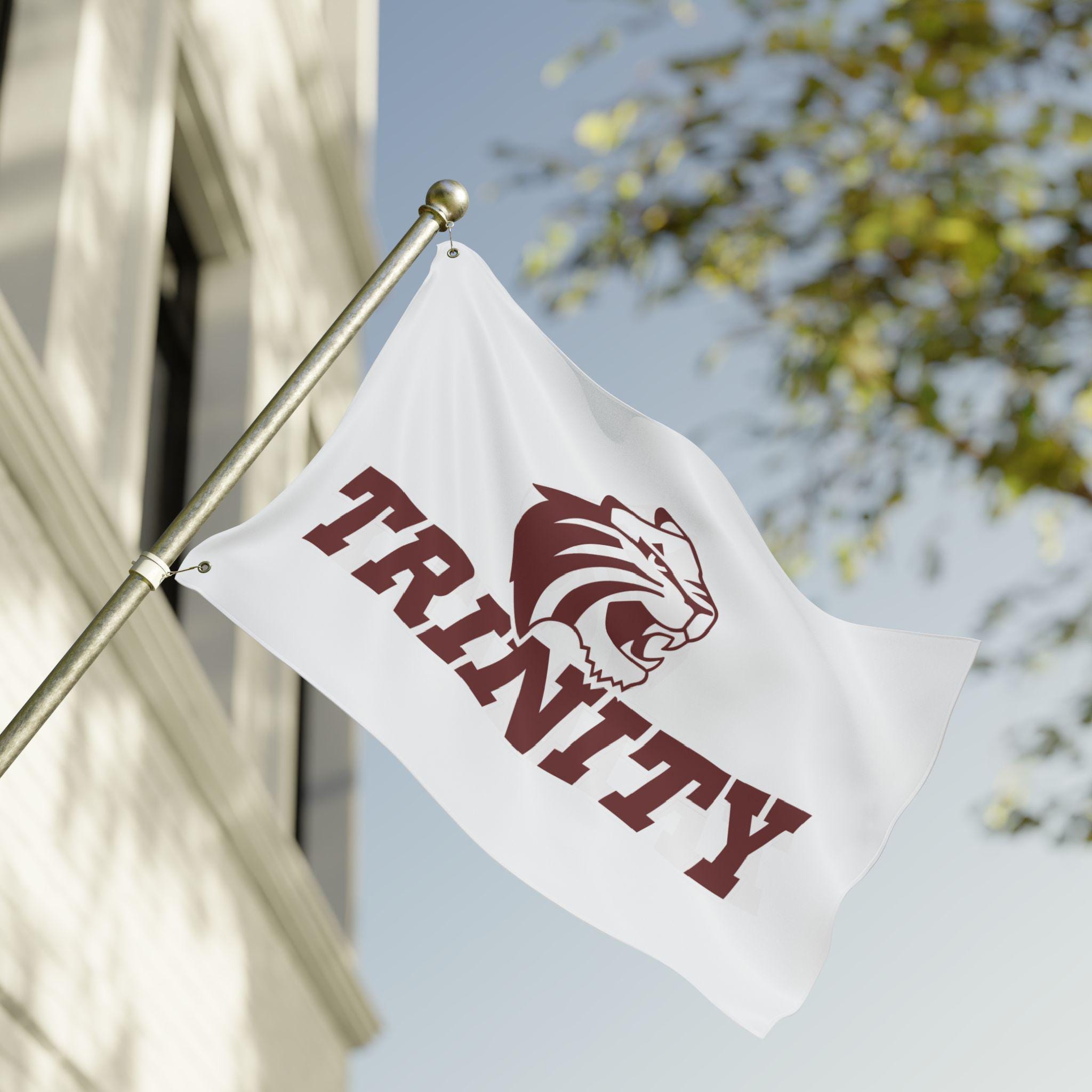 Trinity University Tigers Double-sided College Flag, Dorm Wall