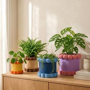 Sculptural Indoor Planter with Bubble Trim, Custom Color Plant Pot, 4 Sizes