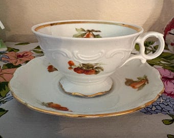 Schumann Arzberg Bavaria Fruit Series Teacup & Saucer | Gold Gilt Relief Porcelain | Vintage German Tea Set