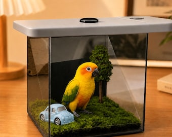 Custom Pet Holographic Display Box, Personalized 3D Projection Memorial Keepsake