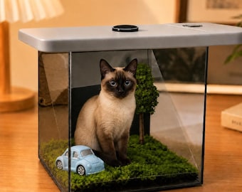 Caja de exhibición holográfica personalizada para mascotas, recuerdo conmemorativo con proyección 3D personalizada