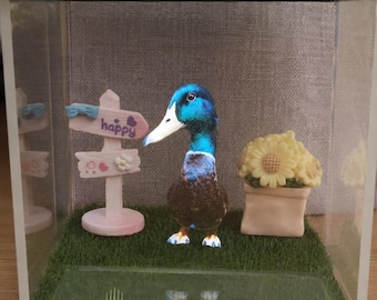 Caja de exhibición holográfica personalizada para mascotas, recuerdo conmemorativo con proyección 3D personalizada