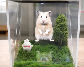 Caja de exhibición holográfica personalizada para mascotas, recuerdo conmemorativo con proyección 3D personalizada