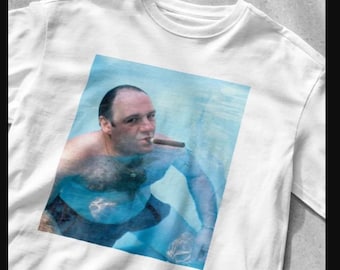 Tony Soprano T-Shirt, James Gandolfini Shirt, TV Show Shirt, Not This Much I Like the One That Says Some Pulp Vintage T-Shirt
