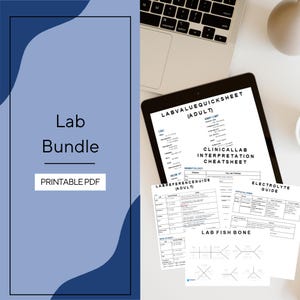 May include: A digital lab bundle printable PDF featuring a tablet displaying a Lab Value Quicksheet for adults, a clinical lab interpretation cheatsheet, an electrolyte guide, and a lab fish bone diagram, all presented with clear black text on white pages.