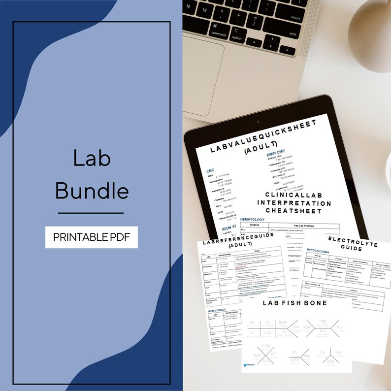 May include: A digital lab bundle printable PDF featuring a tablet displaying a Lab Value Quicksheet for adults, a clinical lab interpretation cheatsheet, an electrolyte guide, and a lab fish bone diagram, all presented with clear black text on white pages.