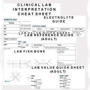 Lab Bundle | Lab Reference Guide, Electrolyte Guide, Clinical Lab Interpretation, Fishbone & Quick Reference | Students (Printable Pdf) image 3